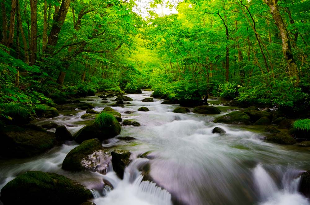10 เทคนิคถ่ายภาพวิวให้สวย, การจัดองค์ประกอบภาพ, การถ่ายภาพวิว, การถ่ายภาพท่องเที่ยว